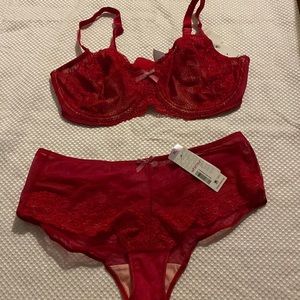 Whimsy bra set Sz 40 D  panty Sz 8 (XL)